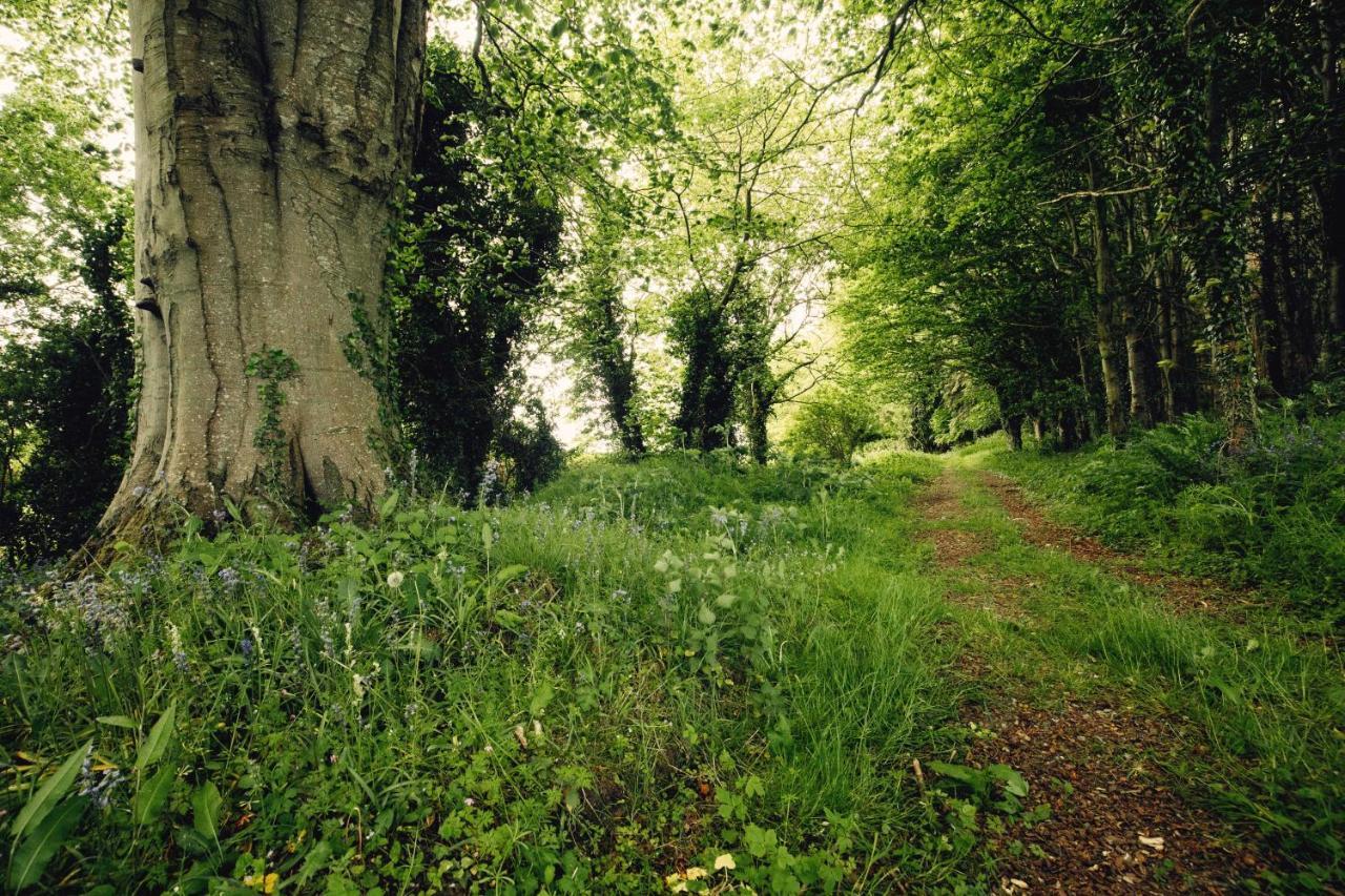 Castledillon Estate Cottage Armagh Esterno foto
